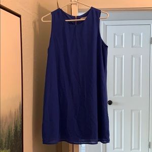 Naked Zebra Blue dress